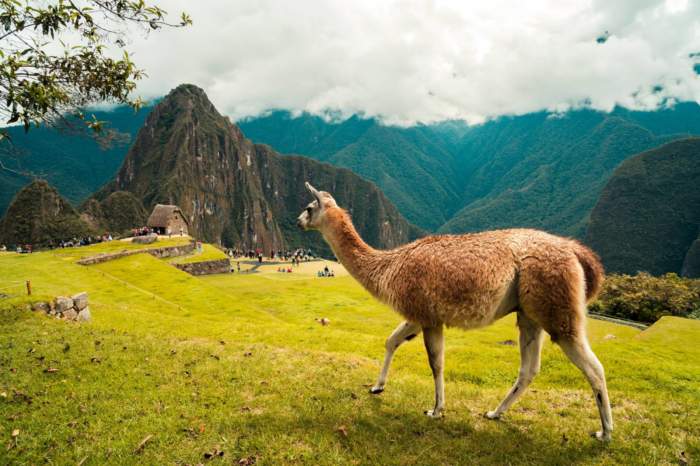 Peru Escorted Tours